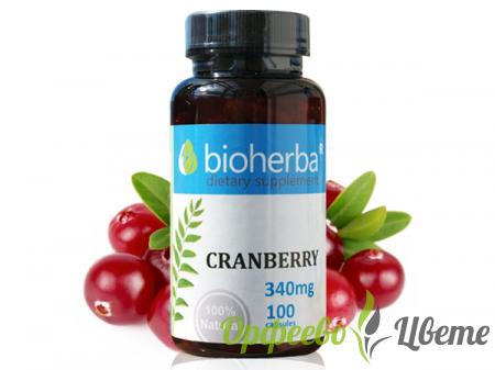 ХРАНИТЕЛНИ ДОБАВКИ Антиоксиданти Червена боровинка 340 мг, 100 капсули Cranberry
